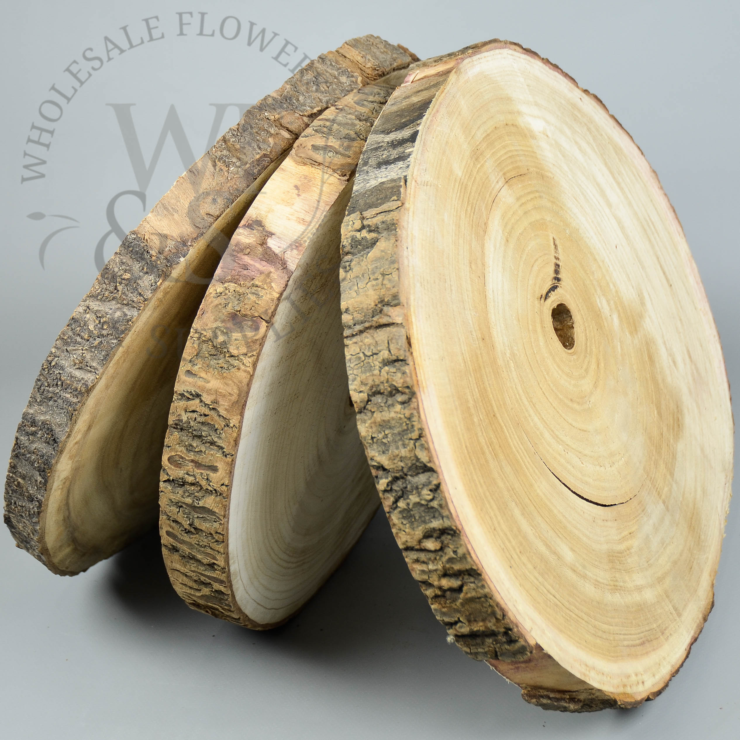 tree wood slices