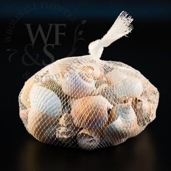 Beach Seashell Net Bag 2