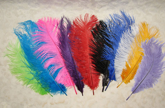 Colored Ostrich Feathers 5 stems-2