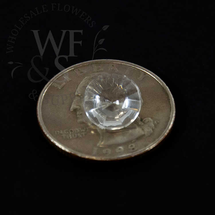 A size comparison of a 10mm diamond on a standard U.S. Quarter piece