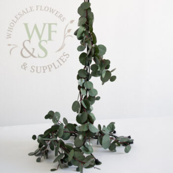 r Dollar Eucalyptus Garland Sage 5' Synthetic