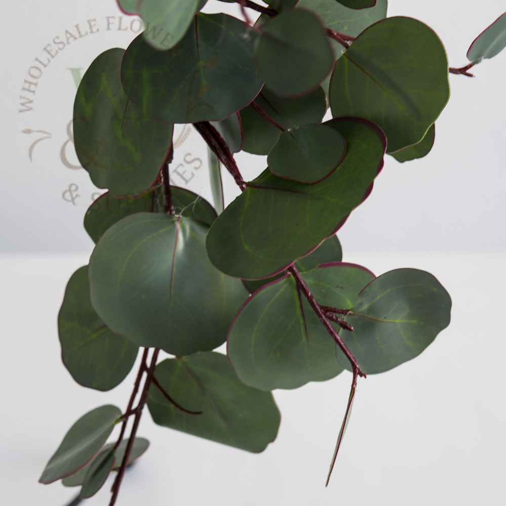 r Dollar Eucalyptus Garland Sage 5' Synthetic