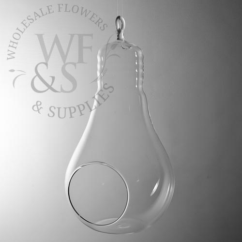 Hanging Glass Light Bulb Vase