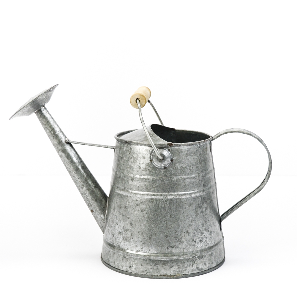 Galvanized Watering Can Container  2