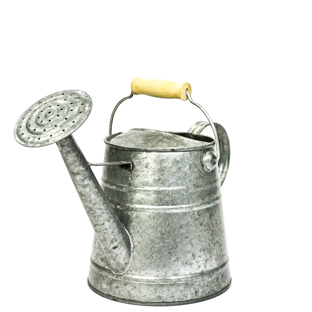 Galvanized Watering Can Container