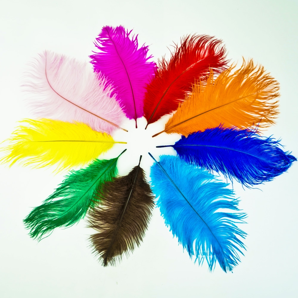 Colored Ostrich Feathers 5 stems