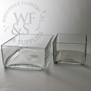 Square Glass Low-Dish Garden 4x6x6