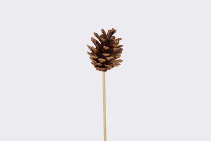 8" Natural Pine Cone Pick